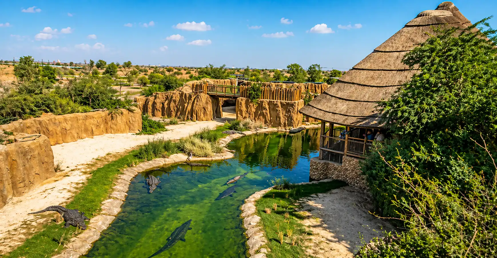 Crocodiles in a sunlit safari park