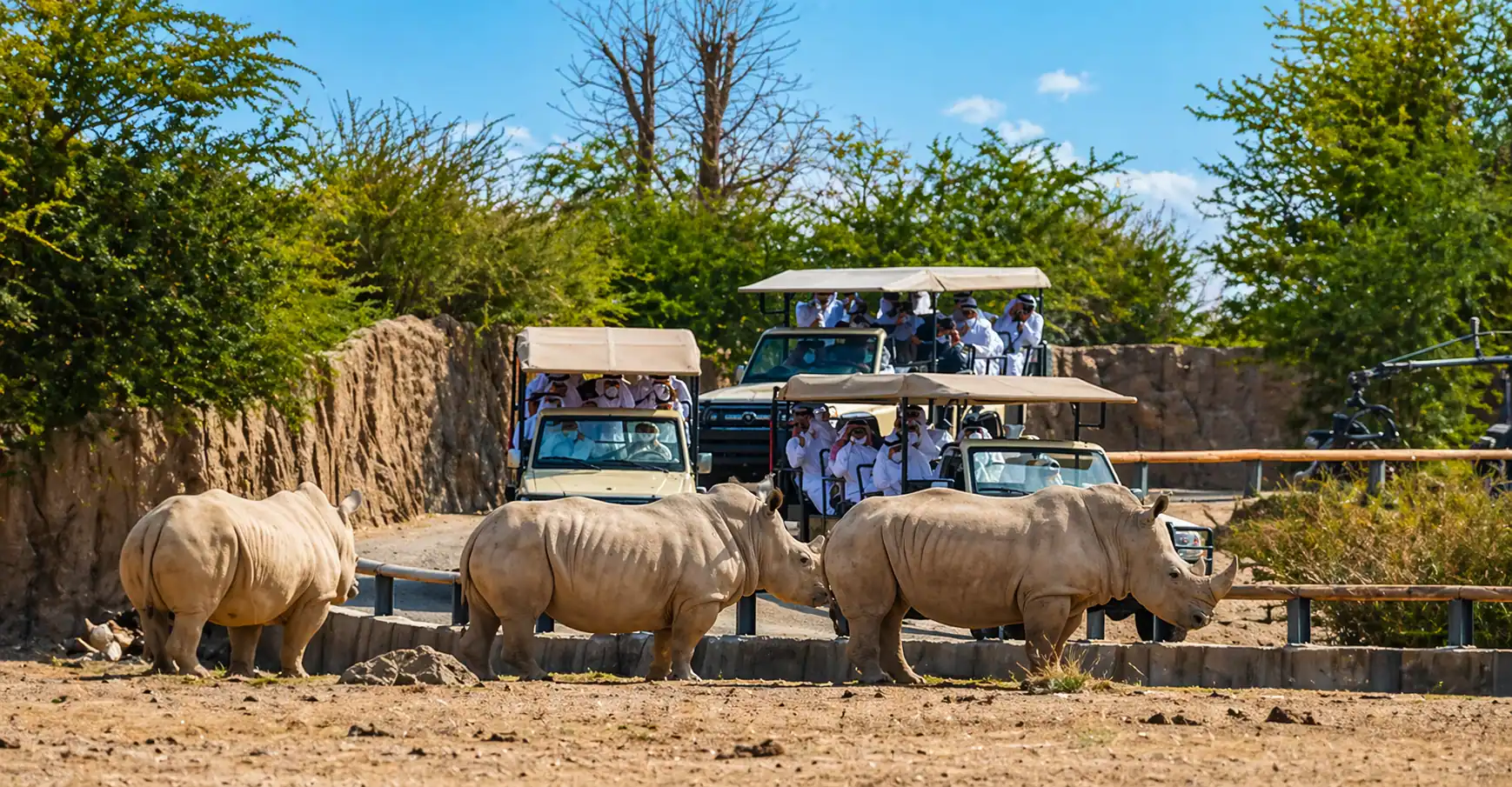 Safari adventure with rhinos and tourists