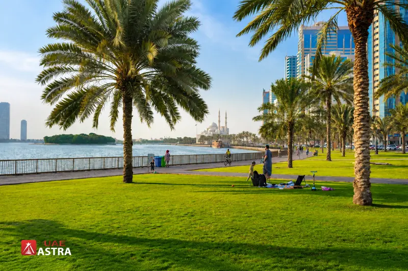 Al Mahatta Park Sharjah with palm trees, green lawns, waterfront view, and walking area