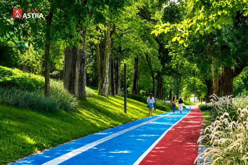 Al Mahatta Park walking track surrounded by trees and greenery