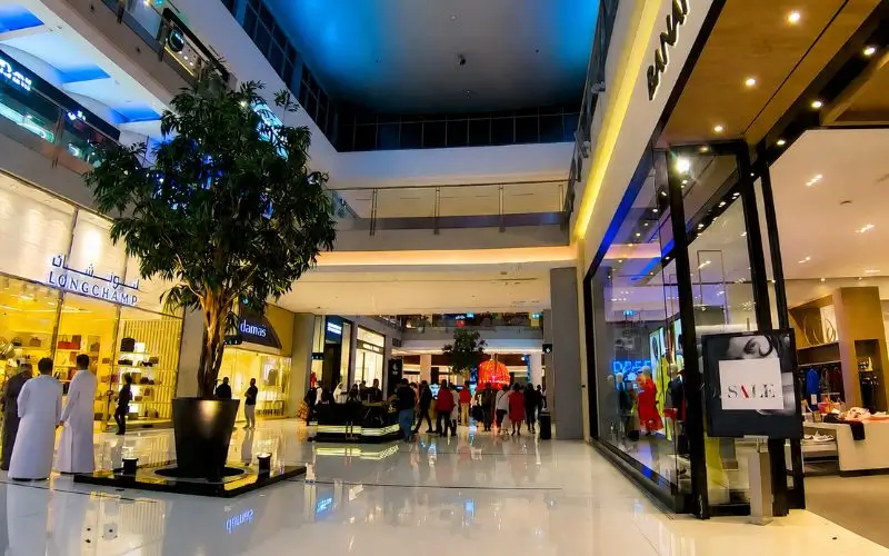 Dubai Mall Visitor