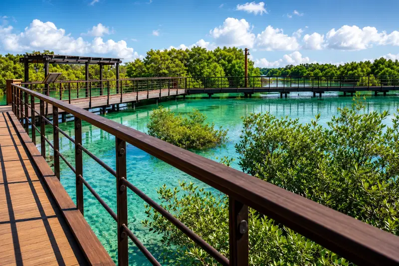 Boardwalk overlooking clear mangrove waters at Jubail Mangrove Park, Abu Dhabi