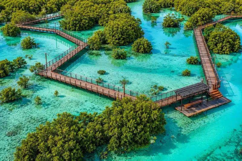 Mangrove boardwalk crossing turquoise waters at Jubail Mangrove Park