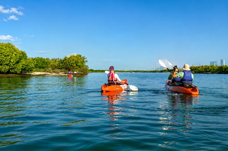 Visitors kayaking through mangrove waterways at Jubail Mangrove Park, Abu Dhabi