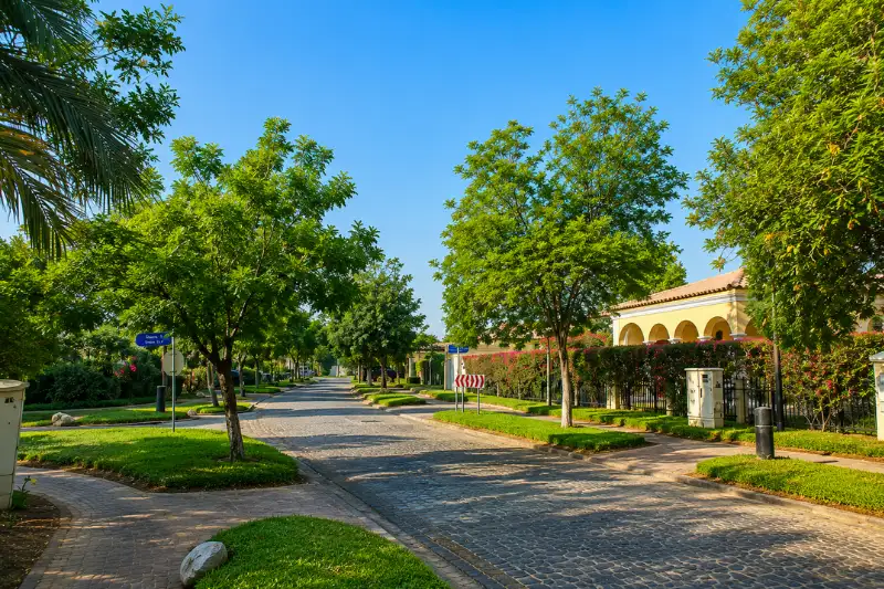 Landscaped tree-lined road in Green Community West Dubai with spacious villas