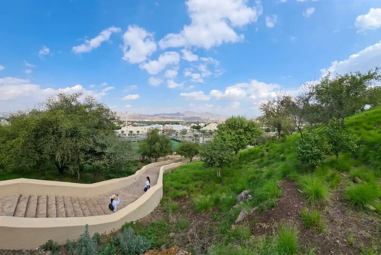 Scenic hillside trail at Hatta Hill Park with greenery and mountain views