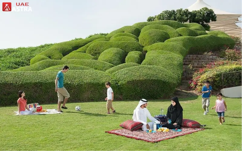 Family Picnics and Outdoor