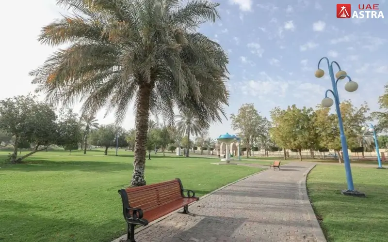 Walking and Jogging Tracks