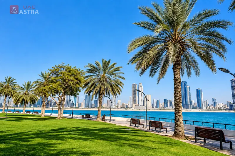 Al Mamzar Beach Park waterfront and palm-lined promenade
