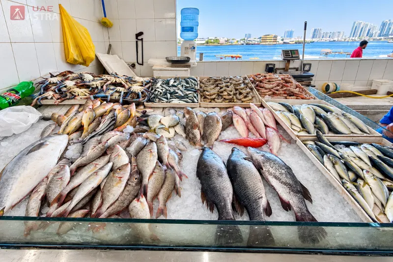 Fresh fish, shrimp and crabs at Ajman Fish Market