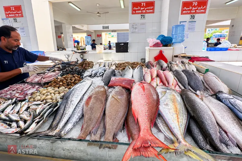 Fresh seafood display at Ajman Fish Market