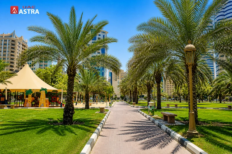 Palm-lined walkway in Al Mahatta Park Sharjah with playground area