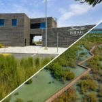 Umm Yifenah Island, UAE – Location, Activities and Visitor Information