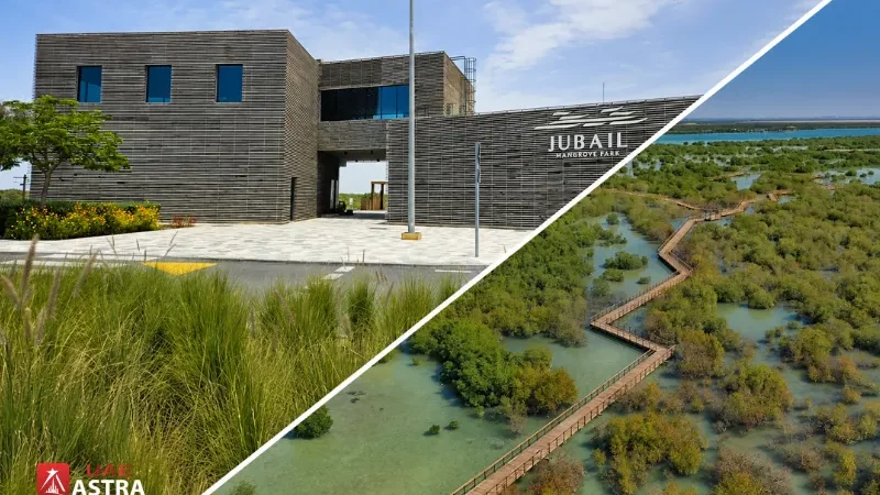 Jubail Mangrove Park