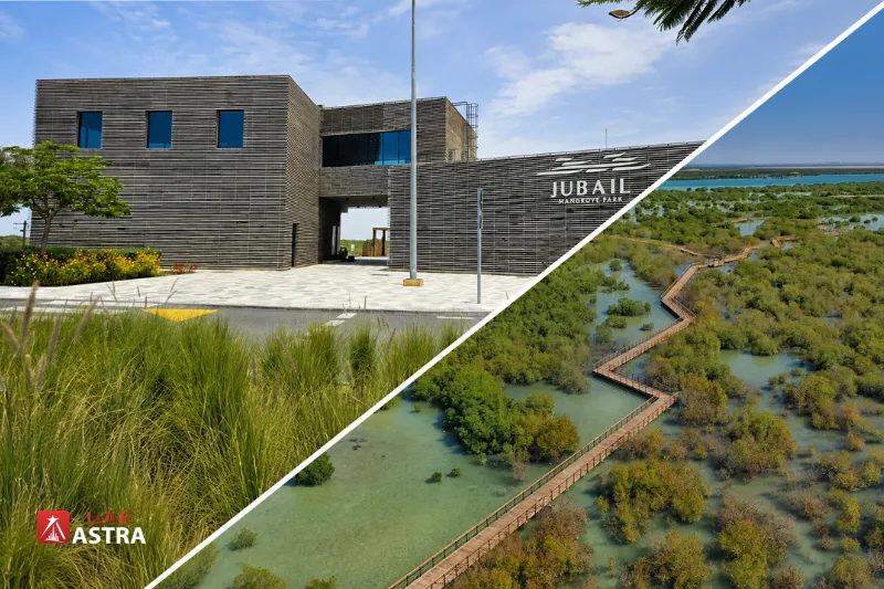 Jubail Mangrove Park
