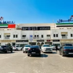 Free Zone or Mainland? How Chartered Accountant Firms in Dubai Break Down the Decision Before You Spend a Single Dirham