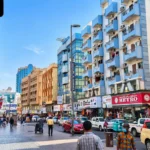 Ajman Fish Market: Timings, Location, Seafood & Auction