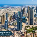 Ajman Fish Market: Timings, Location, Seafood & Auction