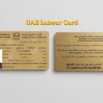How to Get a Tax Identification Number (TIN) in the UAE?
