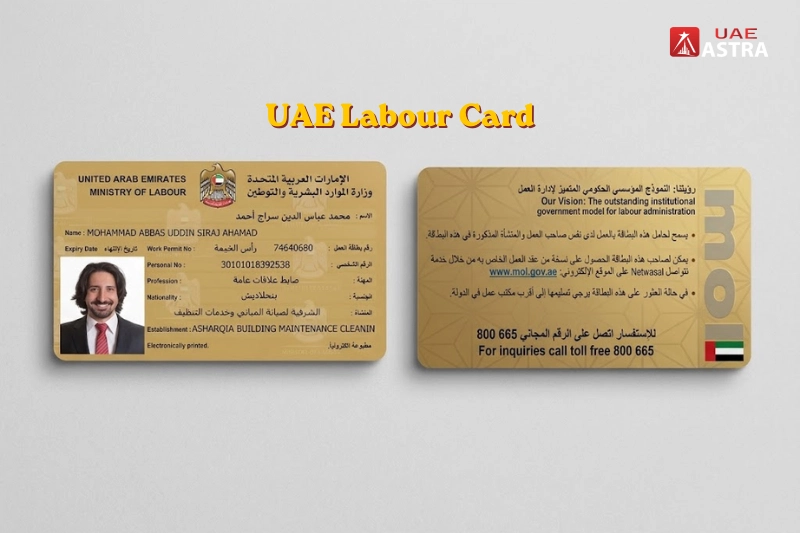 UAE labour card front and back design showing worker employment and work permit information