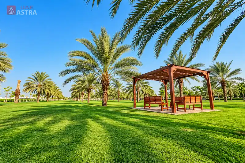 Al Safia Park green lawns, palm trees and shaded seating pergola