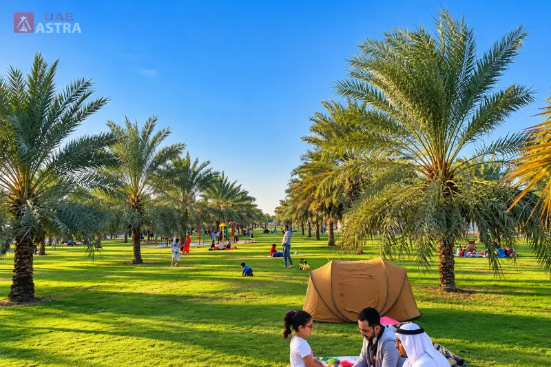 Al Safia Parks green lawns, palm trees and family picnic area