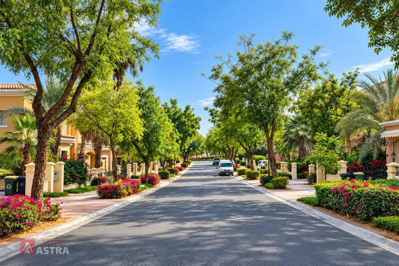 Arabian Ranches Dubai residential street lined with villas and landscaped gardens